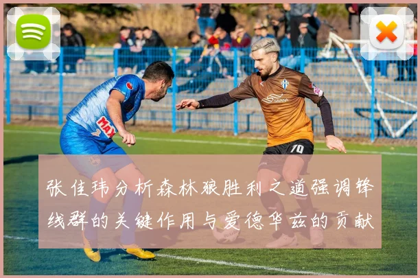 张佳玮分析森林狼胜利之道强调锋线群的关键作用与爱德华兹的贡献
